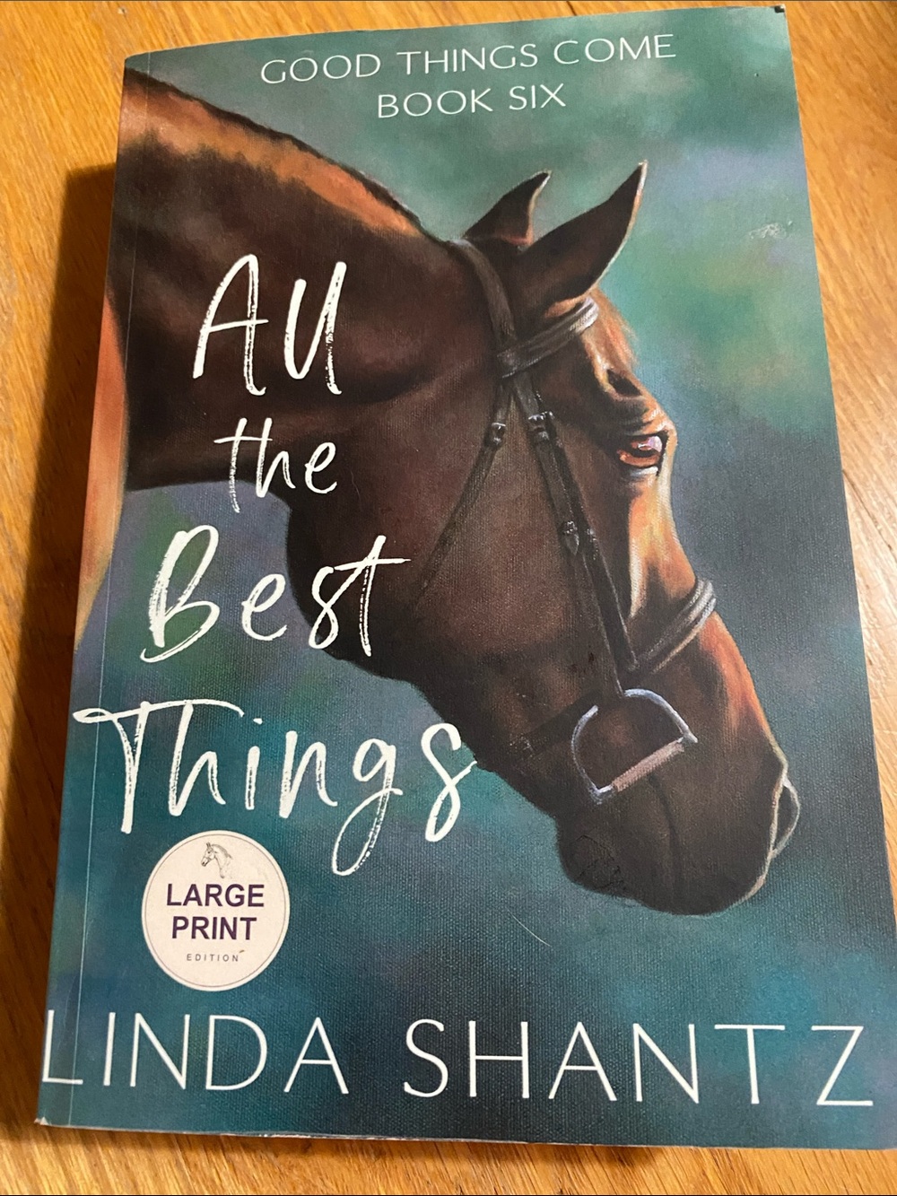 All the Best Things by - Teal & Brown Cover (Large Print) book 6